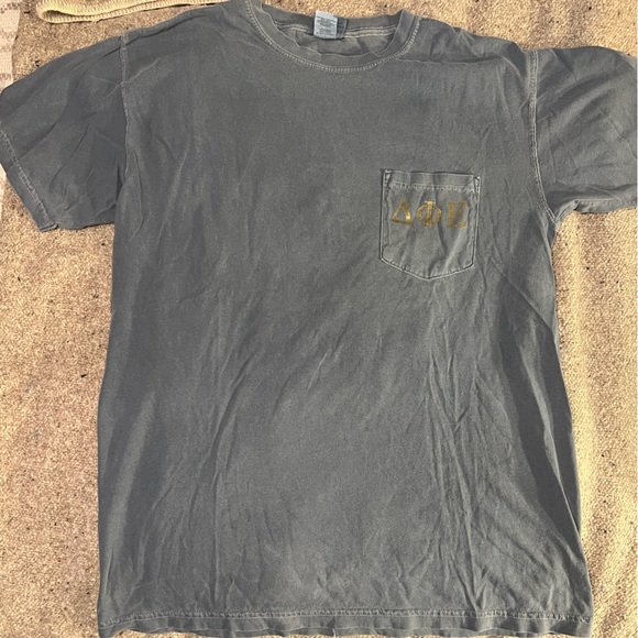 Delta Phi Epsilon Pineapple shirt - Picture 5 of 5